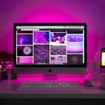 sitio web